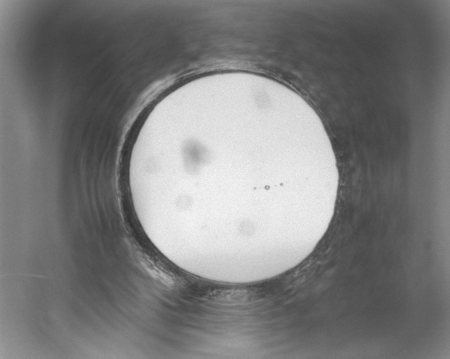 X0000052970104200508051025