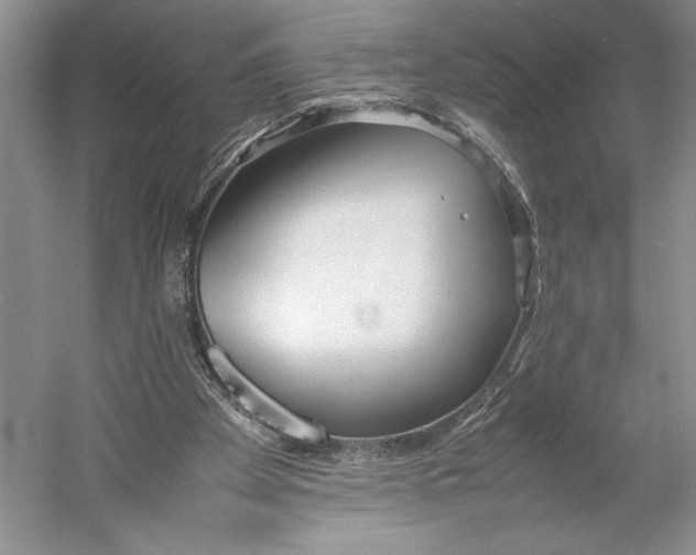 X0000052970105200508051025