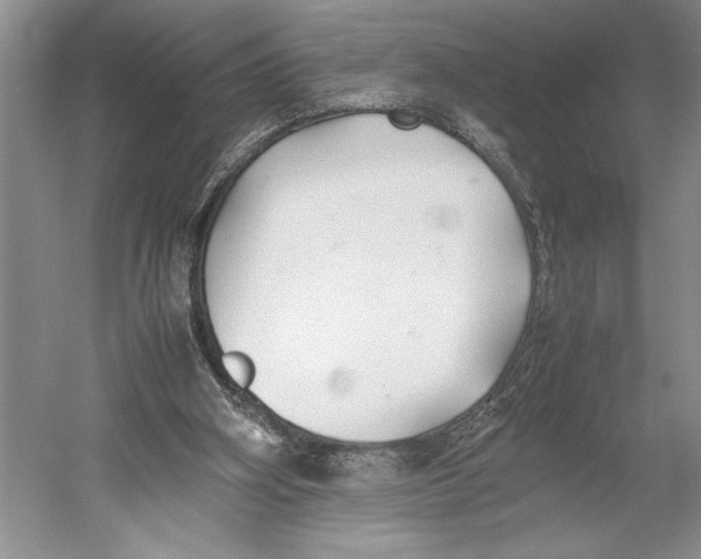 X0000052970106200508051025