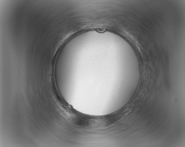 X0000052970107200508051025