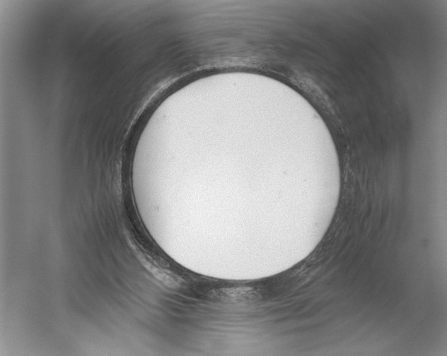 X0000052970108200508051025