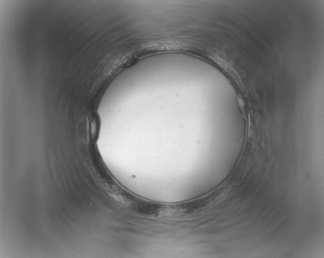 X0000052970109200508051025