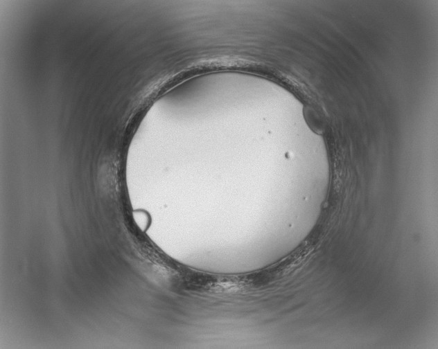 X0000052970111200508051025