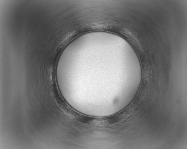 X0000052970115200508051025