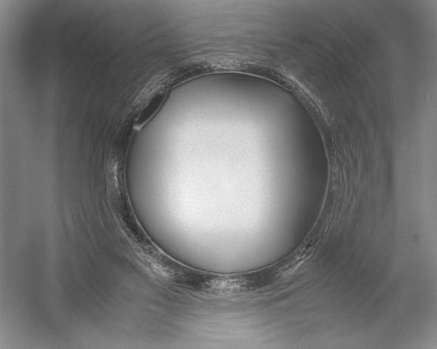 X0000052970117200508051025