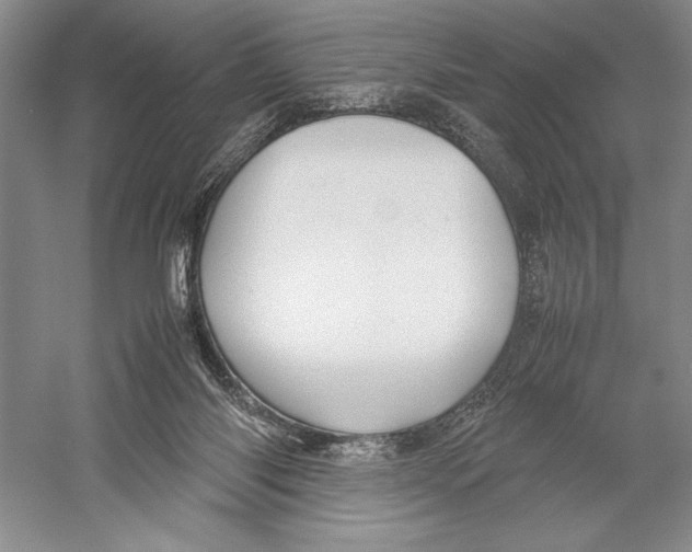 X0000052970118200508051025