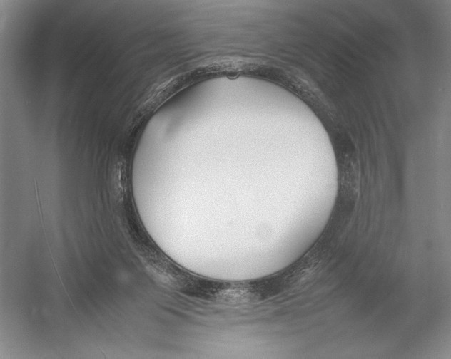 X0000052970119200508051025