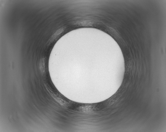 X0000052970120200508051025