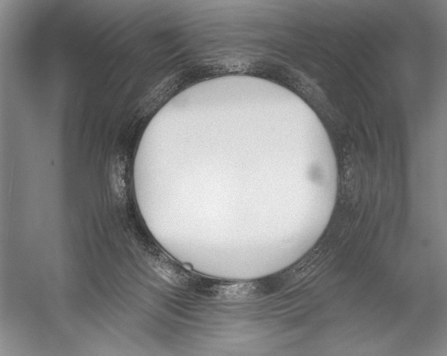 X0000052970122200508051025