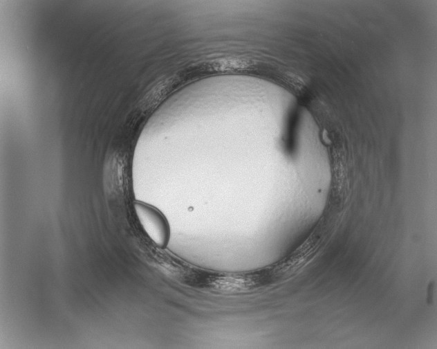 X0000052970123200508051025