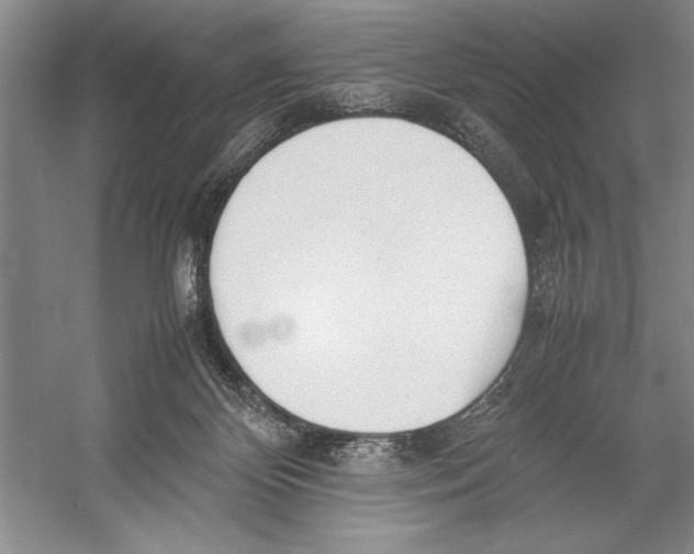 X0000052970124200508051025