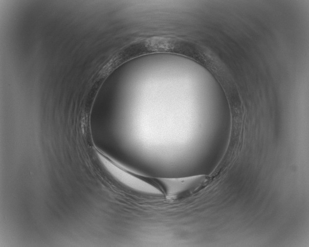 X0000052970125200508051025