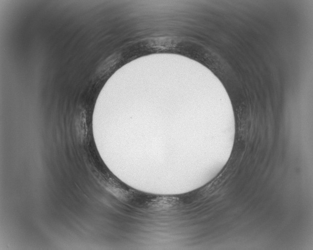 X0000052970128200508051025