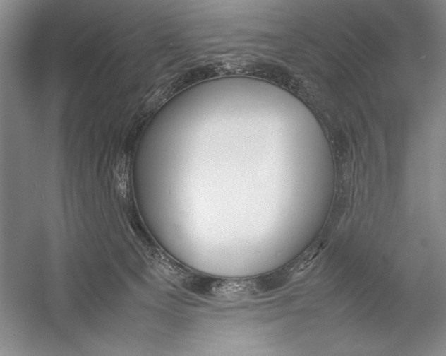 X0000052970129200508051025