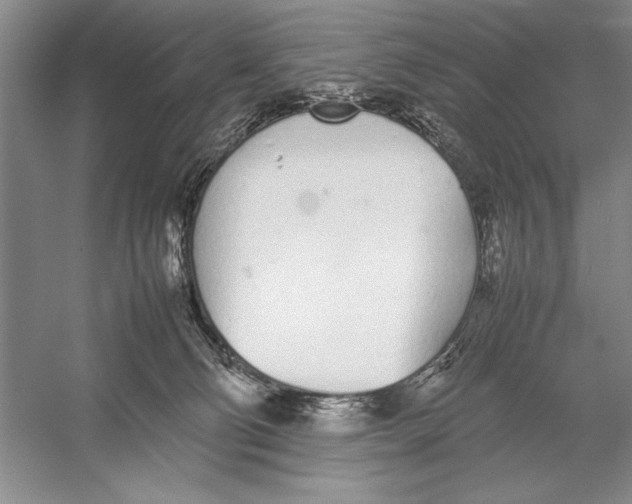 X0000052970130200508051025