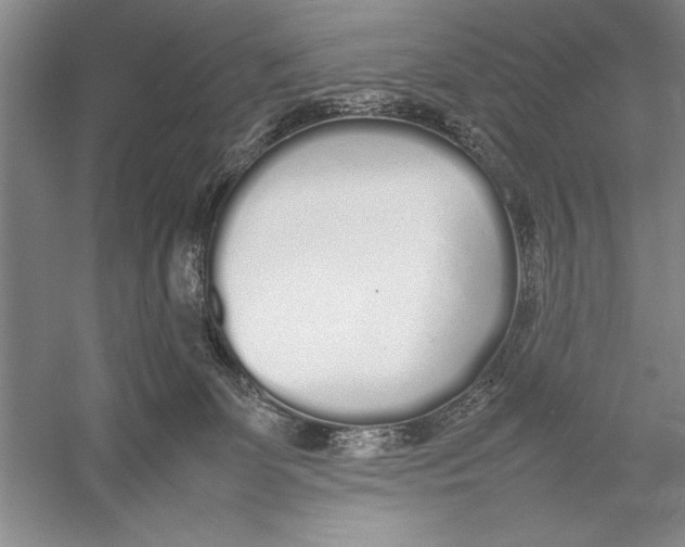 X0000052970131200508051025