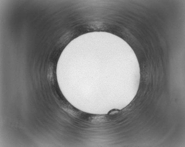 X0000052970132200508051024