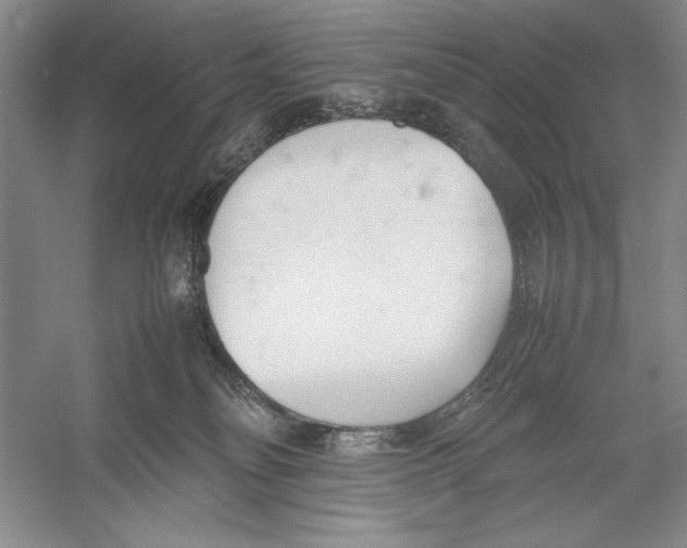 X0000052970134200508051024