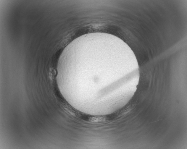 X0000052970135200508051024