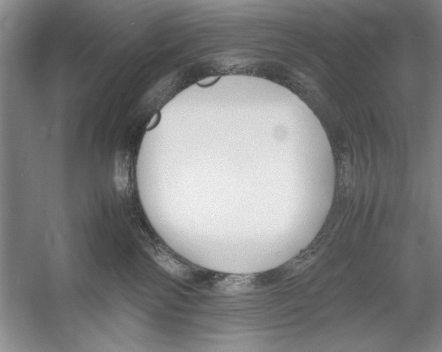 X0000052970138200508051024