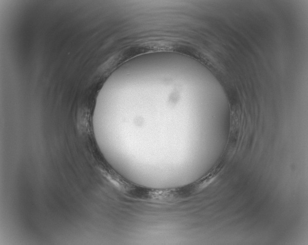 X0000052970141200508051024