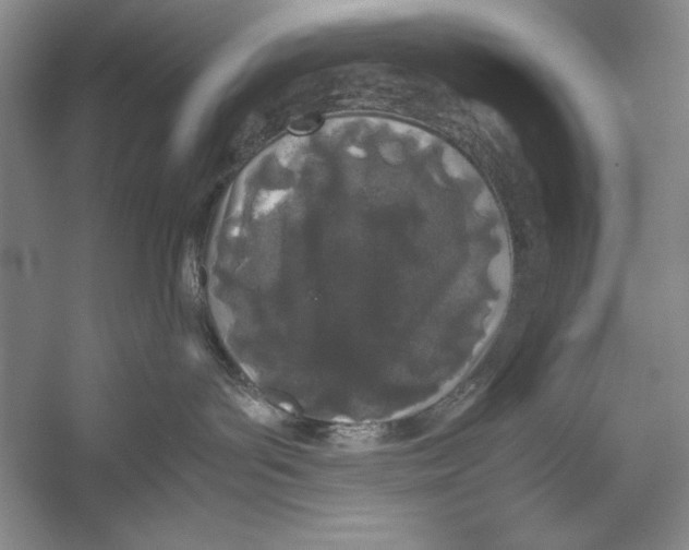 X0000052970143200508051024