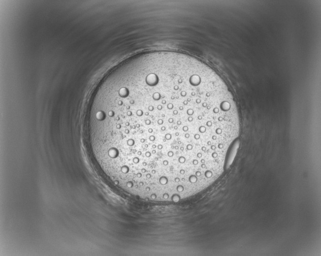 X0000052970145200508051023