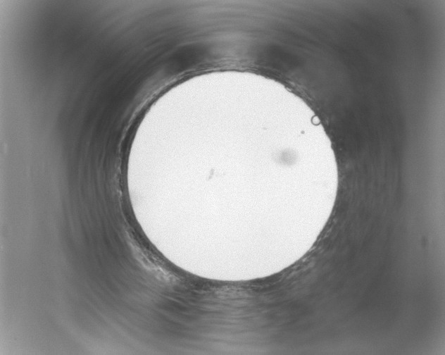 X0000052970146200508051023