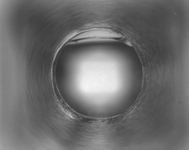 X0000052970148200508051024