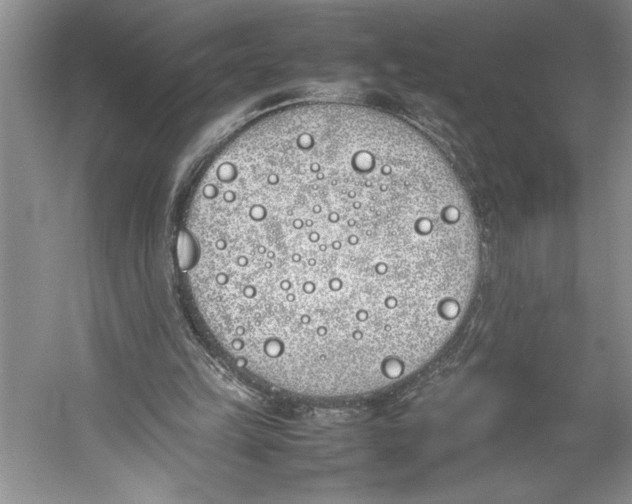 X0000052970149200508051024