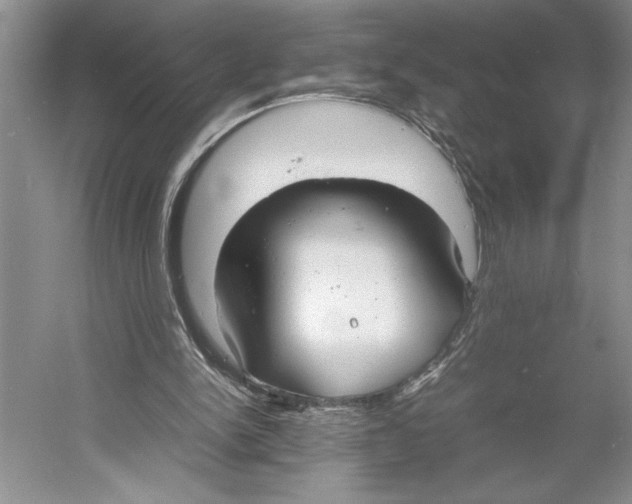 X0000052970150200508051024