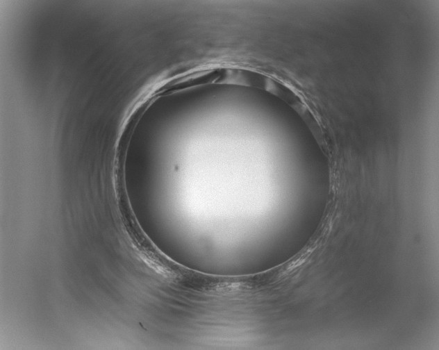 X0000052970152200508051024