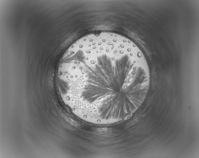 X0000052970153200508051024