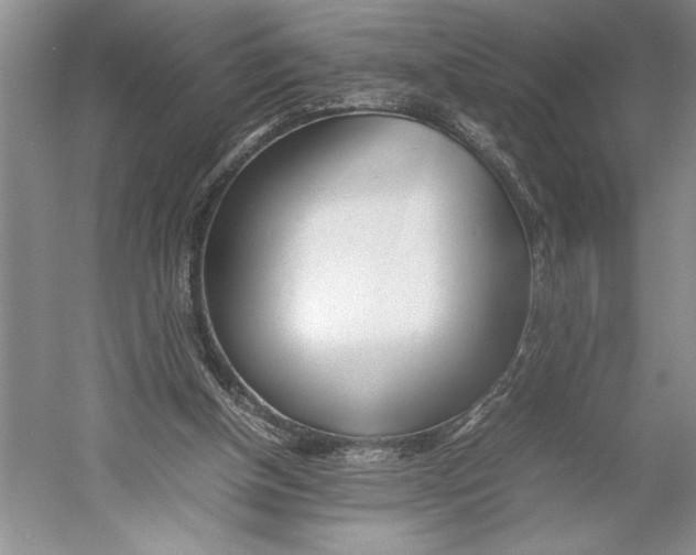 X0000052970154200508051024