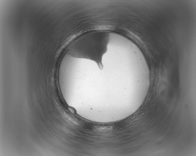 X0000052970155200508051024