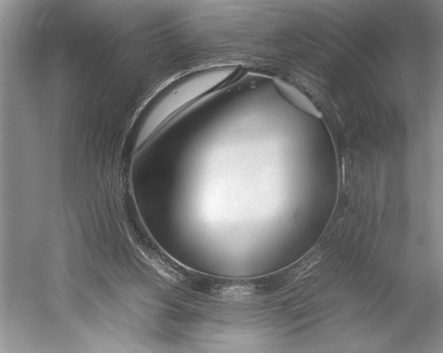 X0000052970156200508051024