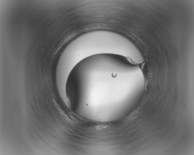 X0000052970158200508051024