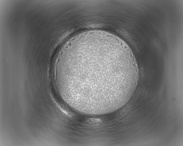 X0000052970159200508051024