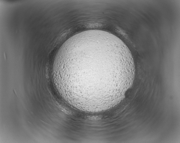 X0000052970161200508051024