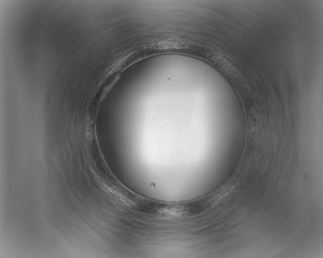 X0000052970164200508051024