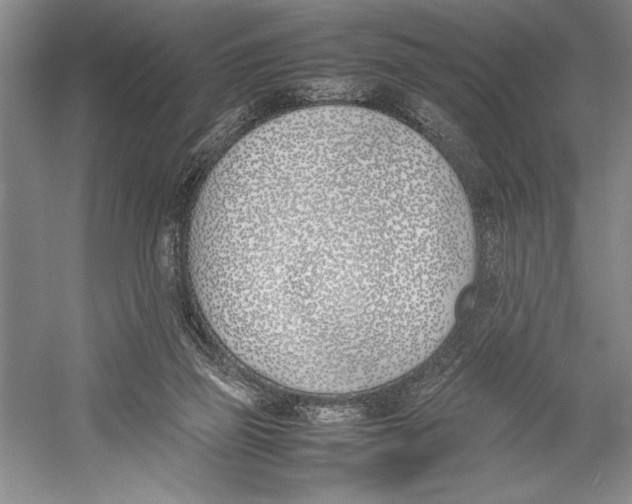 X0000052970165200508051024