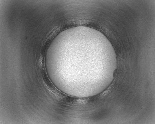 X0000052970166200508051024