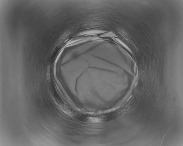 X0000052970167200508051024