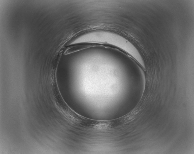 X0000052970168200508051024