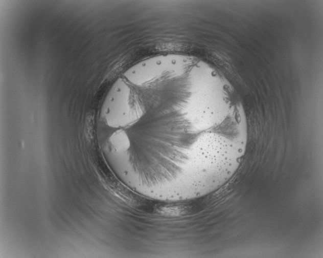 X0000052970171200508051024