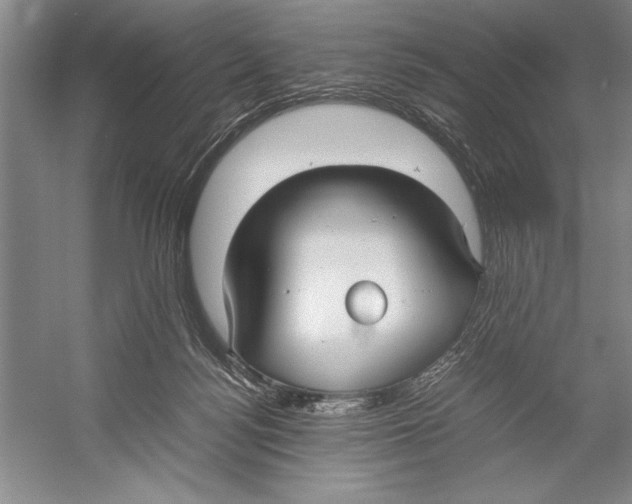 X0000052970172200508051024