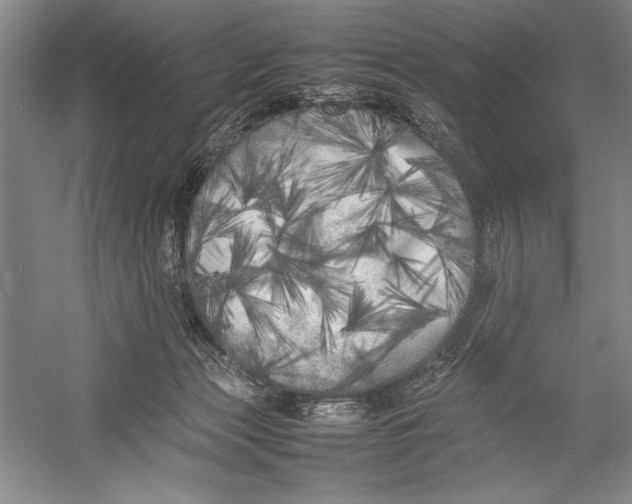 X0000052970173200508051024