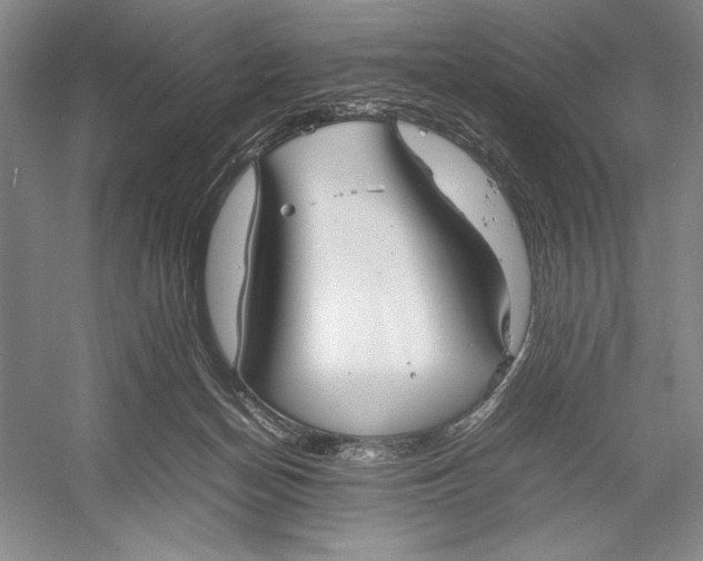 X0000052970174200508051024