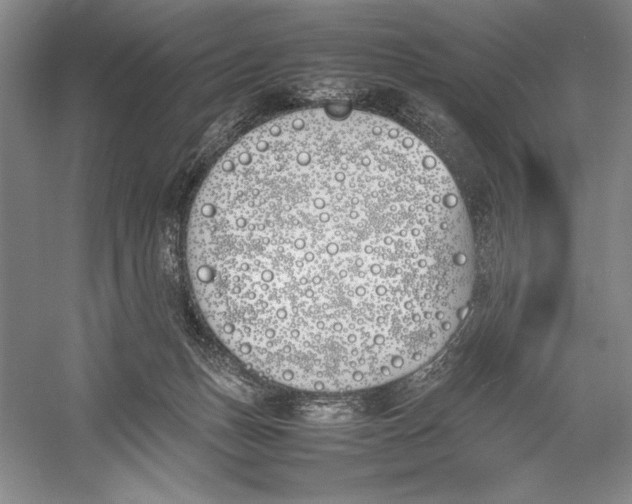 X0000052970175200508051024