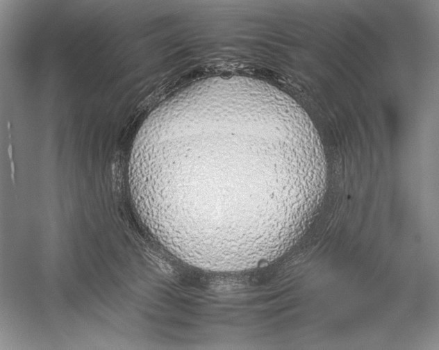 X0000052970177200508051024